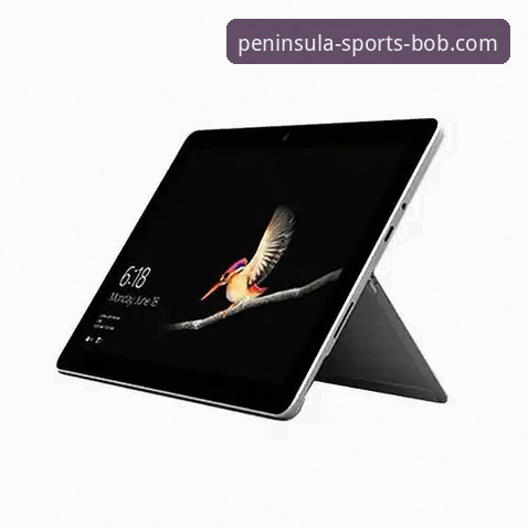 技术评测员深度解析：bob半岛体育平台最新版本下载与安装实战经验