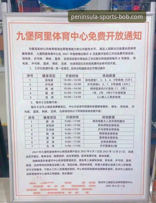 bob半岛体育平台官方下载地址对比实用指南：新手也能轻松找到正确入口